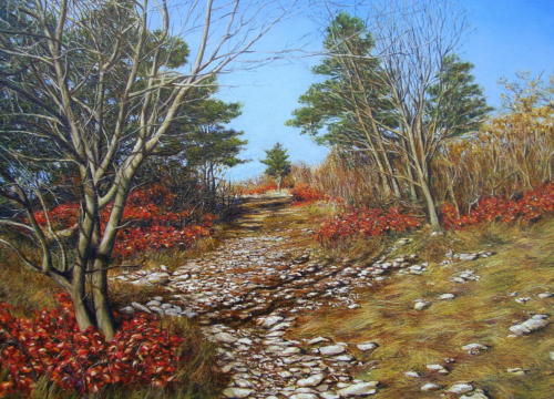 Carso in autunno